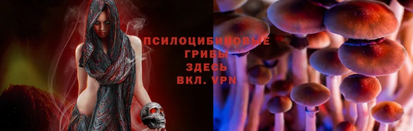 jwh Белокуриха