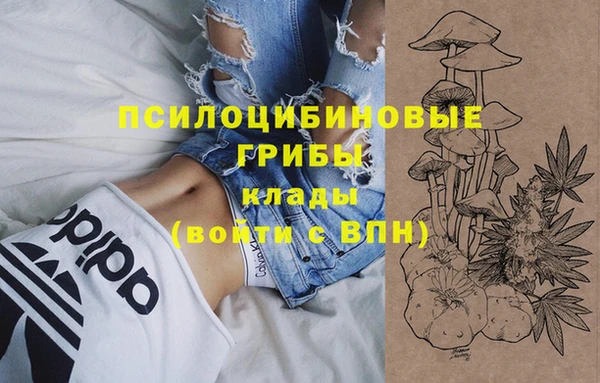 бошки Белоозёрский