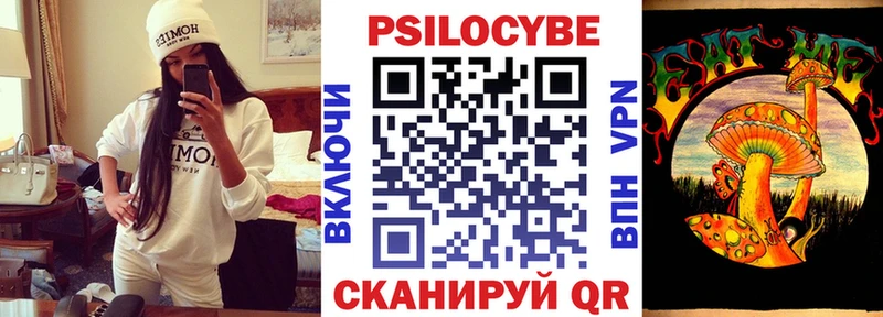 Псилоцибиновые грибы Cubensis Красный Кут